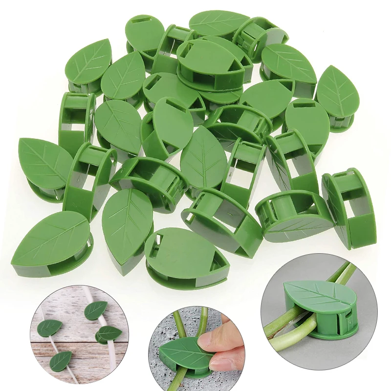 1-50Pcs invisible plant wall c - Wall Anchor Plastic review and price