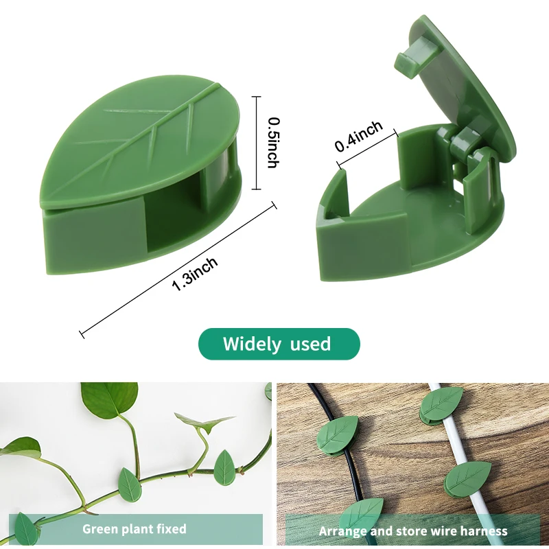 1-50Pcs invisible plant wall c - Wall Anchor Plastic review and price