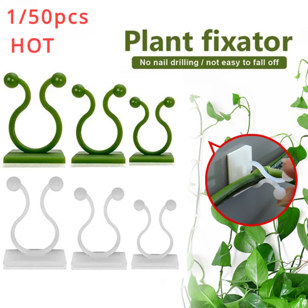 1/30/50Pcs For Garden Accsesor - Wall Anchor Plastic review and price