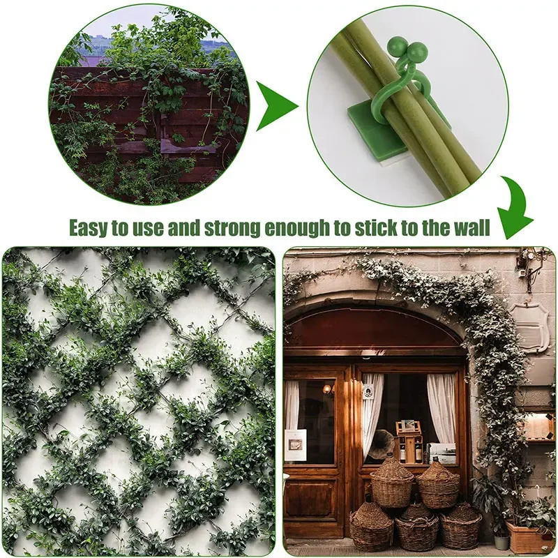 1/30/50Pcs For Garden Accsesor - Wall Anchor Plastic review and price