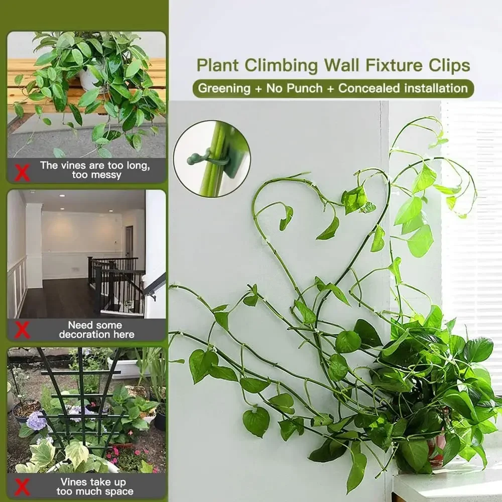 1/30/50Pcs For Garden Accsesor - Wall Anchor Plastic review and price