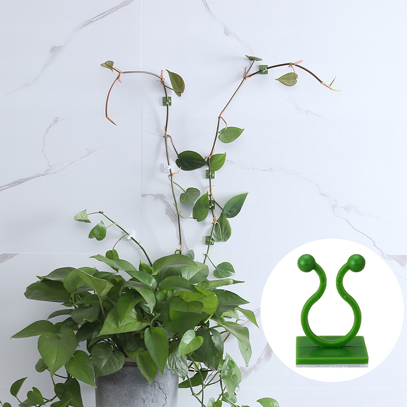 100pcs-Home Garden Plant Climb - Wall Anchor Plastic review and price